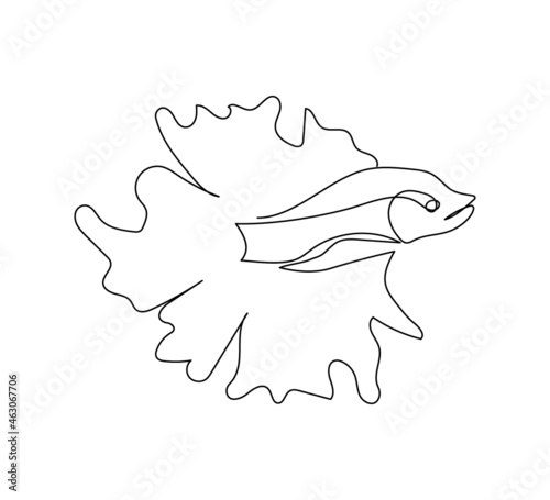 Betta splendens, veiltail, goldfish continuous line drawing. One line art of aquarium fish, marine animal.
