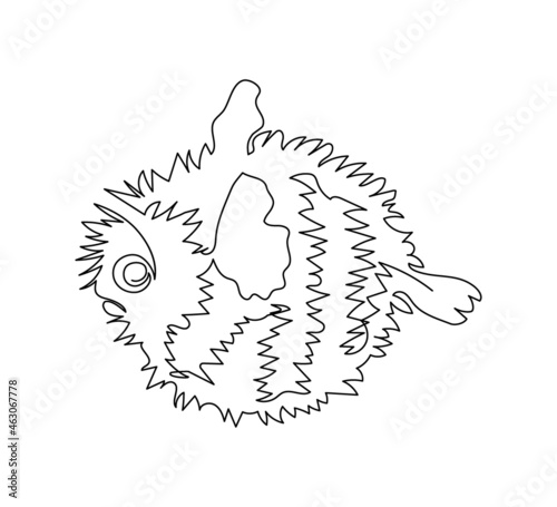 Puffer fish, hedgehog fish continuous line drawing. One line art of fish, seafood, poisonous fish.