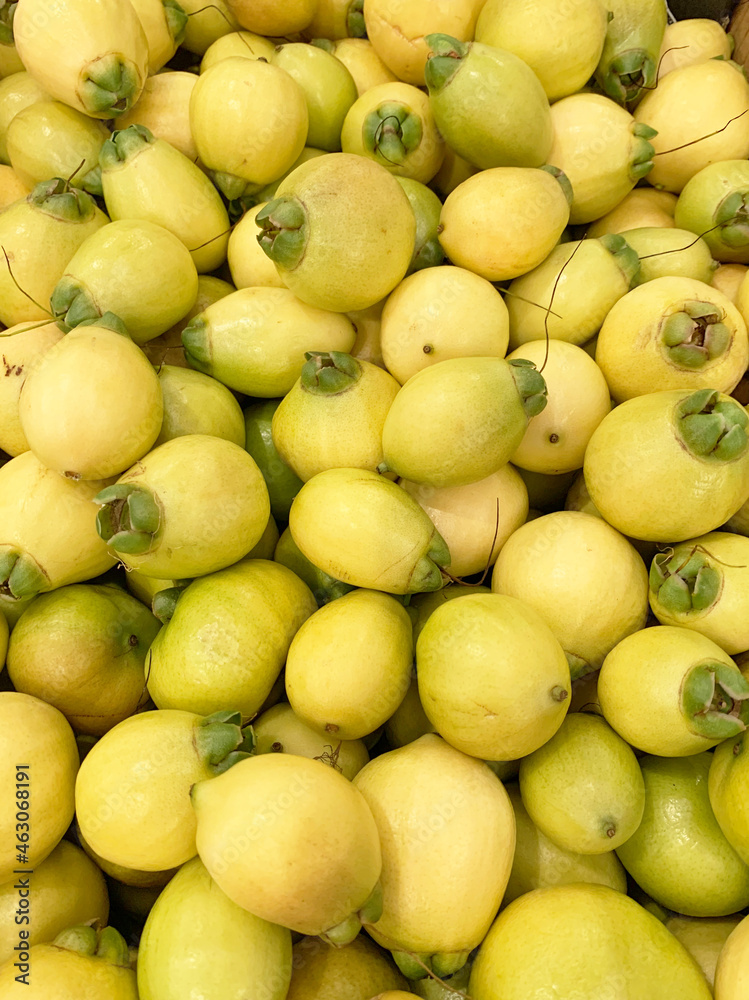 Pomarrosa Pomarrosa
