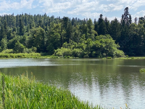 Lake Bajer or Artificial reservoir Bajer on the river Licanka, Fuzine - Gorski kotar, Croatia (Umjetno akumulacijsko jezero Bajer na rijeci Ličanki ili Bajersko jezero, Fužine - Gorski kotar, Hrvatska photo