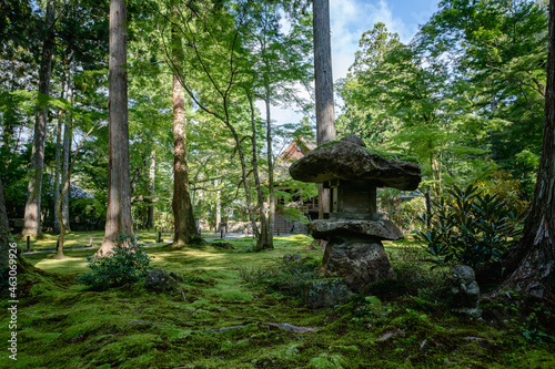 寺院庭園の石灯籠