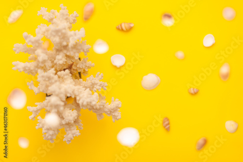 Levitation from above of sea shells of white and brown colors and coral pattern on vibrant yellow background on the left. Holidays travel and vacation concept with copy space