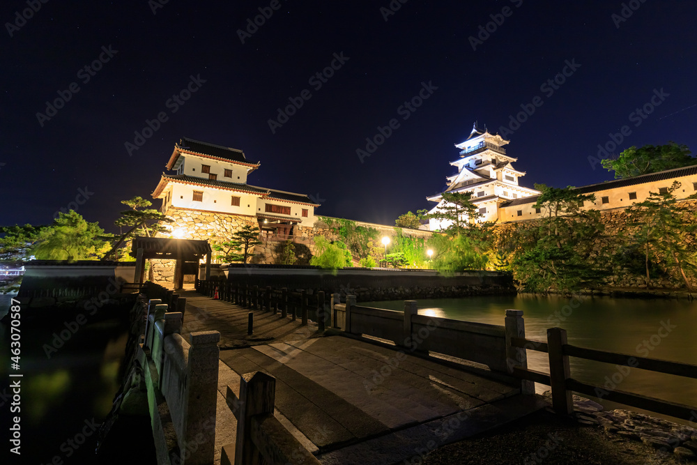Obraz premium ライトアップされた今治城 愛媛県今治市 Illuminated Imabari Castle Ehime-ken Imabari city