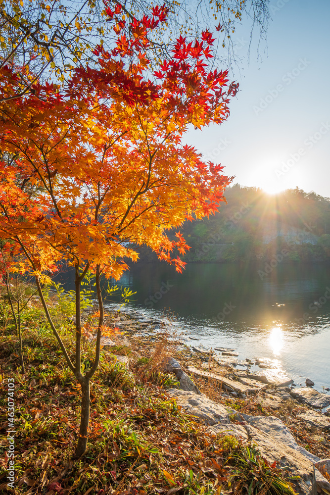 Autumn in South Korea