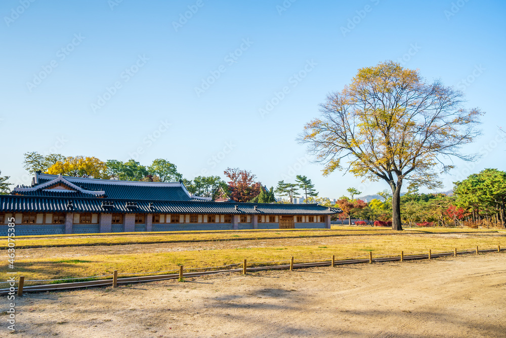 Obraz premium Autumn in South Korea