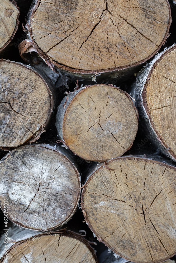 A large forest woodpile made of round whole logs. A large forest woodpile made of round whole logs.