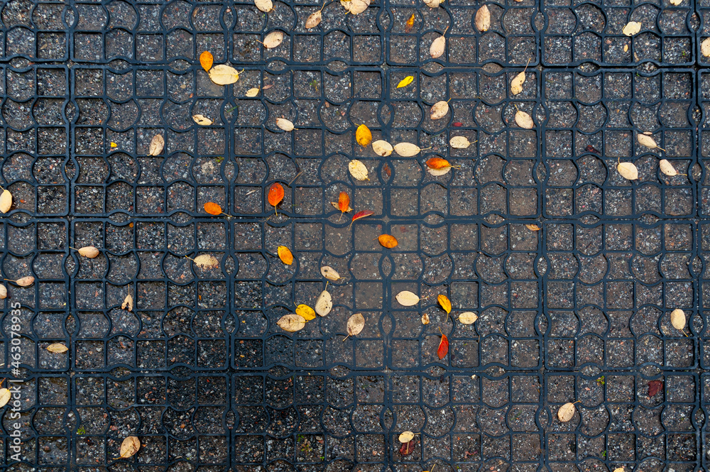 Background of autumn leaves on the sidewalk covered with curly rubber