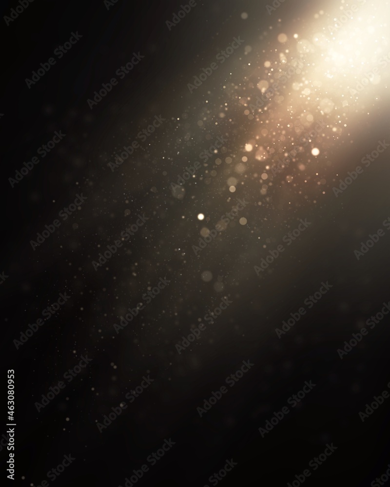 Fototapeta premium falling snowflakes on black overlay particles