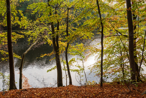 Herbstliche Stimmung am bewaldetetn Ufer der Schwentine in Schleswig-Holstein photo