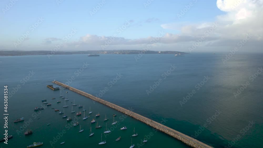 Brixham Marina and Harbour from a drone, Brixam, Devon, England, Europe Brixham Marina and Harbour from a drone, Brixam, Devon, England, Europe