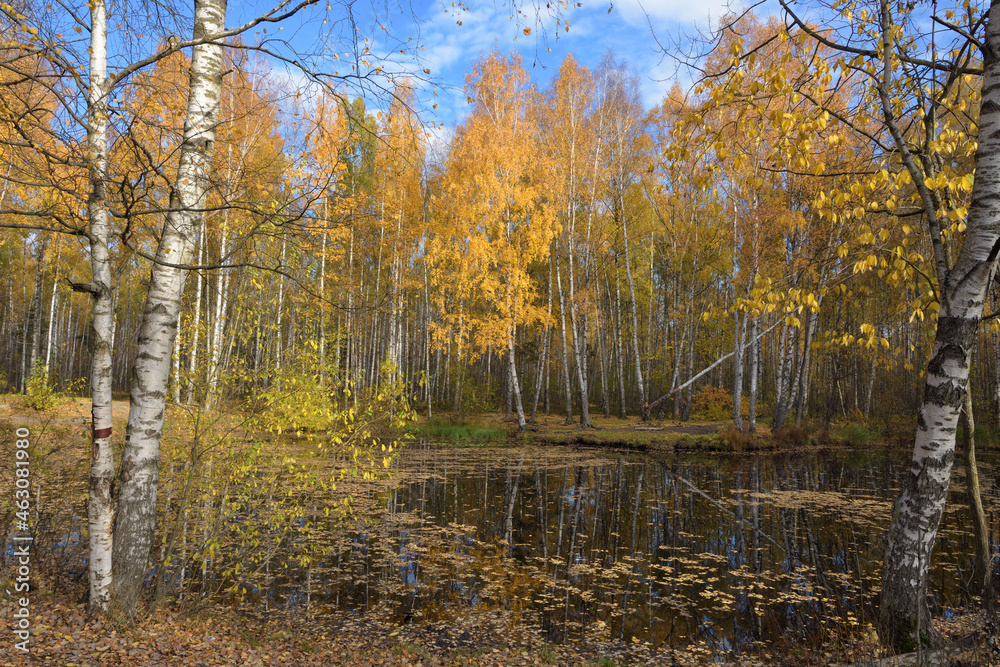 The bright beauty of autumn.