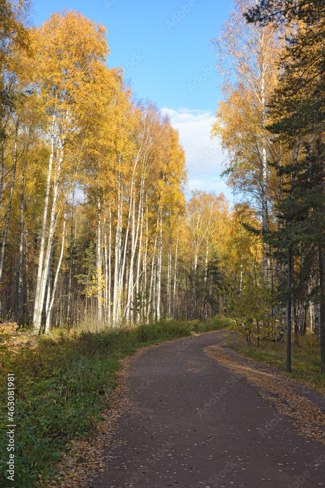 The bright beauty of autumn.