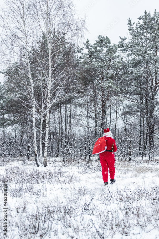santa claus in the snowy forest