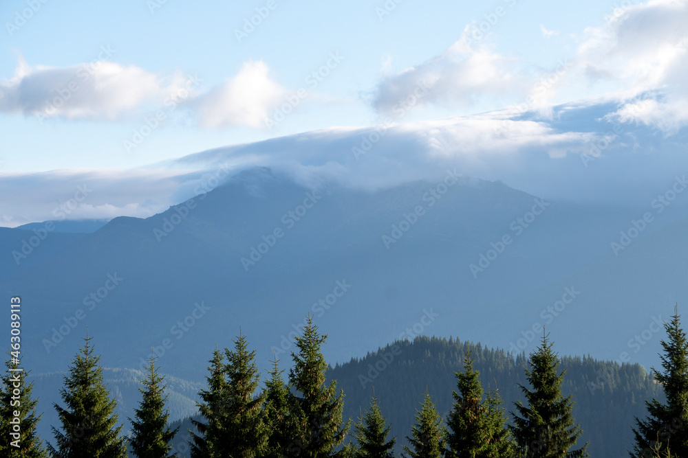 Beautiful autumn view of mountains covered coniferous forest. Great Smoky Mountains National Park, Ukraine. 