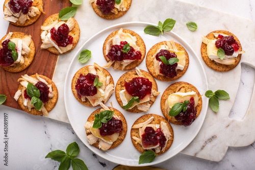 Party appetizers with turkey, brie and cranberry sauce photo