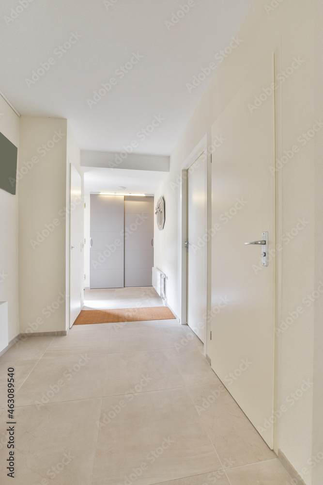 Hall interior with doors and closet at home Hall interior with doors and closet at home