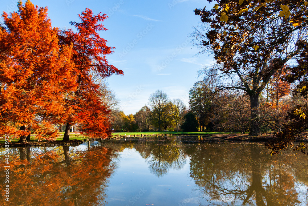 Schöner Park mit einem See von Schloss Favorit, Deutschland, der in bunten Herbstfarben leuchtet Schöner Park mit einem See von Schloss Favorit, Deutschland, der in bunten Herbstfarben leuchtet
