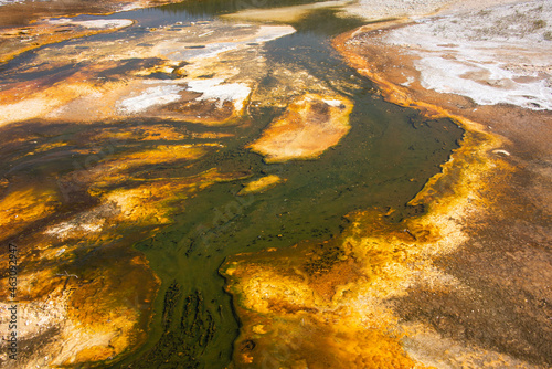 Bacterial mats, Upper Geyser Basin, Yellowstone National Park, Wyoming, USA 