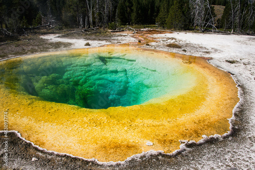 Chromatic Spring, Upper Geyser Basin, Yellowstone National Park, Wyoming, USA