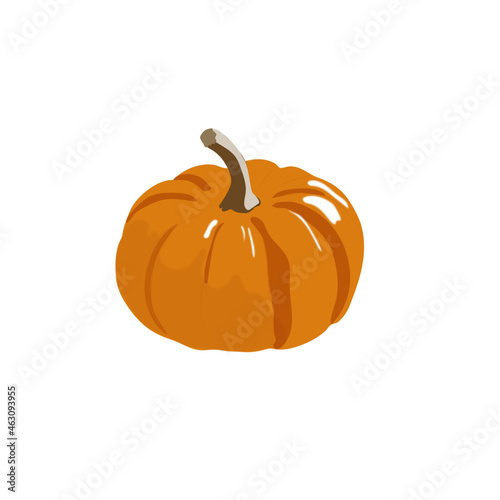 orange pumpkin