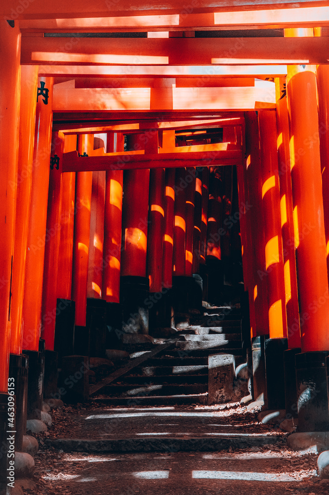 japanese shrine in kyoto japanese shrine in kyoto