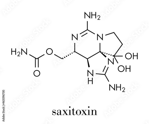 Saxitoxin (STX) paralytic shellﬁsh toxin (PST), chemical structure Skeletal formula.
