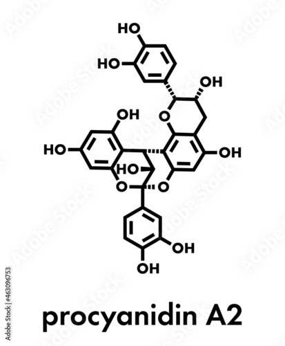 Proanthocyanidin A2 (procyanidin A2, PAC A2) molecule. Present in cranberry (juice) and a number of other plants. Used in urinary tract infarction prevention. Skeletal formula.