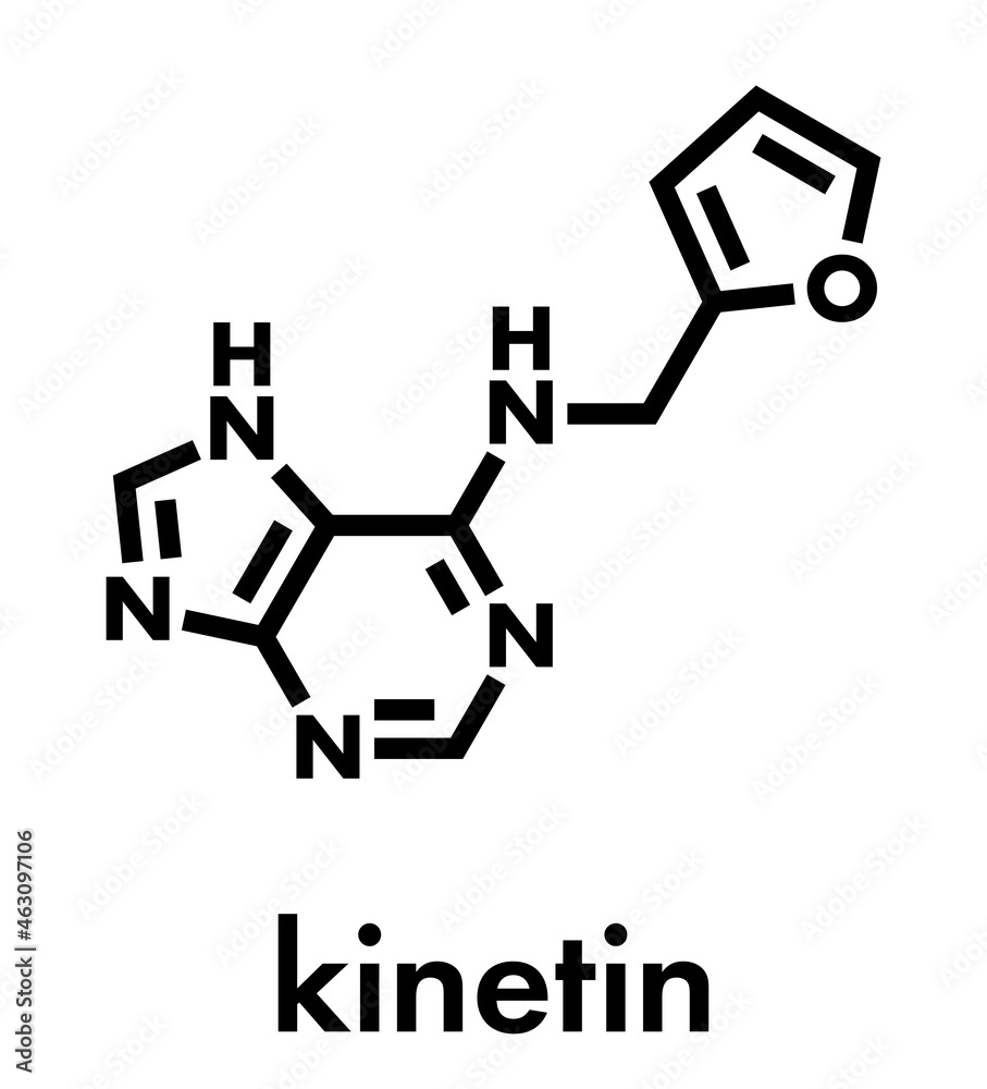 Kinetin (N6-furfuryladenine) plant hormone molecule. Promotes cell division in plants. Used in skin care and cosmetics for supposed anti-aging properties. Skeletal formula. Kinetin (N6-furfuryladenine) plant hormone molecule. Promotes cell division in plants. Used in skin care and cosmetics for supposed anti-aging properties. Skeletal formula.