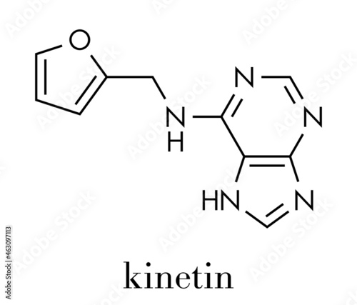 Kinetin (N6-furfuryladenine) plant hormone molecule. Promotes cell division in plants. Used in skin care and cosmetics for supposed anti-aging properties. Skeletal formula.