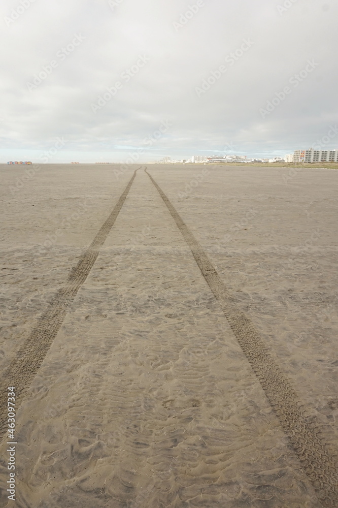 Naklejka premium Tire Trails Crossing a Wet Beach with Buildings on the Horizon on Sunlit Morning