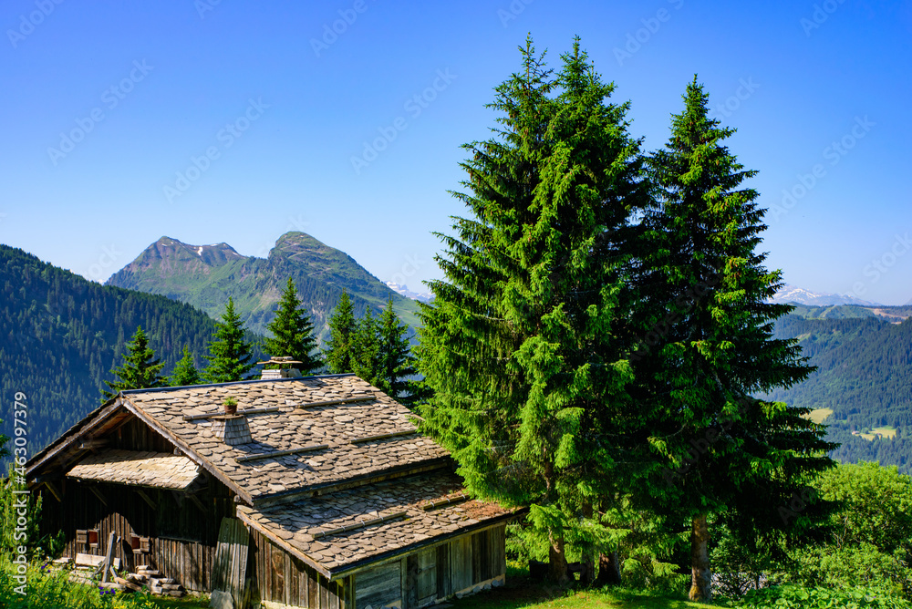 A traditional wooden building in mountains of Alps in summer in Portes du Soleil, France, Europe