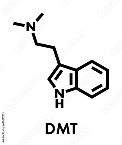 Dimethyltryptamine (DMT) psychedelic drug molecule. Present in the drink ayahuasca. Skeletal formula. photo