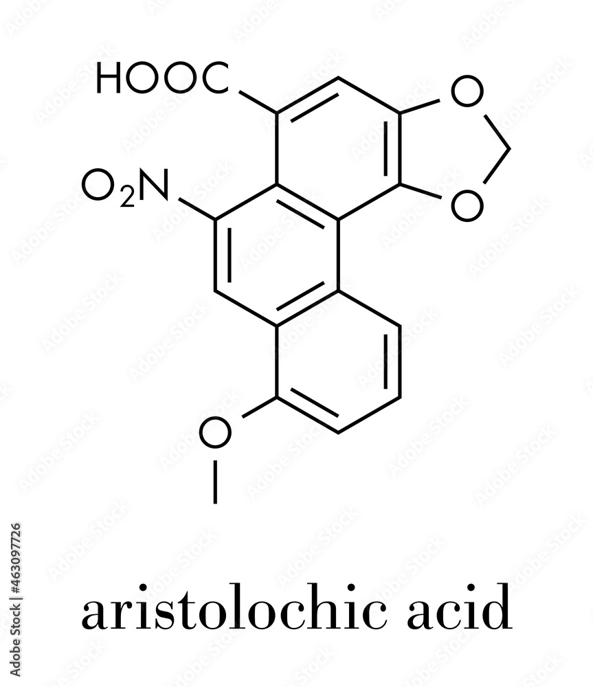 Aristolochic acid plant poison molecule. Has carcinogenic and nephrotoxic (kidney damaging) properties. Found in Aristolochia and Asarum herbs, often used in Chinese herbal medicine. Skeletal formula.