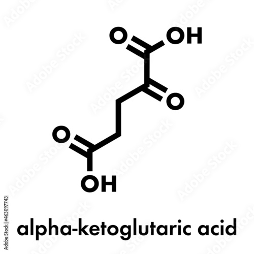 Alpha-ketoglutaric acid (ketoglutarate, oxo-glutarate). Intermediate molecule in the Krebs cycle. Found to prolong lifespan (in nematodes). Skeletal formula. photo