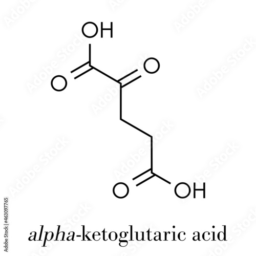 Alpha-ketoglutaric acid (ketoglutarate, oxo-glutarate). Intermediate molecule in the Krebs cycle. Found to prolong lifespan (in nematodes). Skeletal formula. photo
