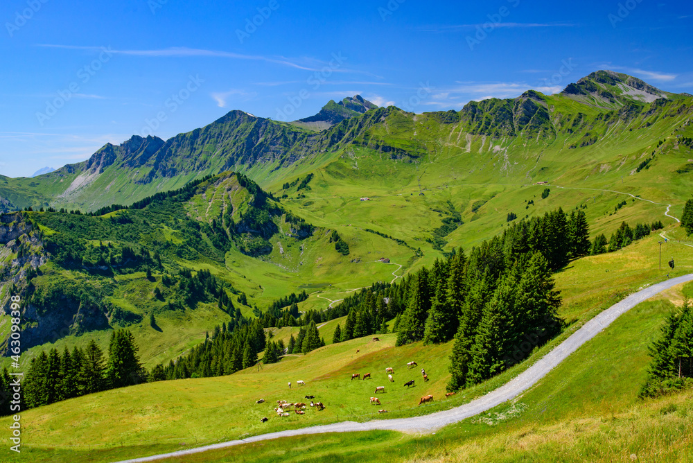Landscape of mountains of Alps in summer with green meadow in Portes du Soleil, Switzerland, Europe