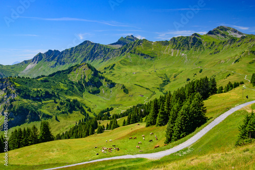Landscape of mountains of Alps in summer with green meadow in Portes du Soleil, Switzerland, Europe © momo11353