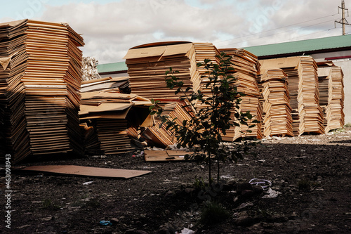 Photo of a large amount of cardboard in a garbage dump photo