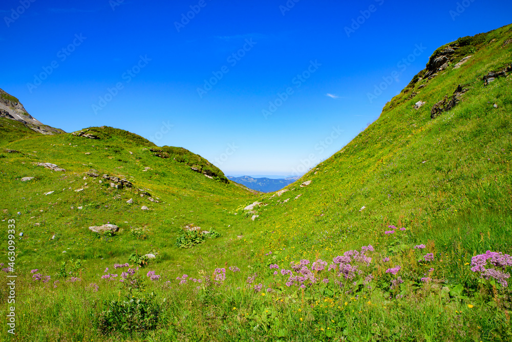 Naklejka premium Landscape of mountains of Alps in summer with green meadow and flowers in Portes du Soleil, France, Europe