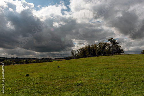 storm clouds over the grove on the hill