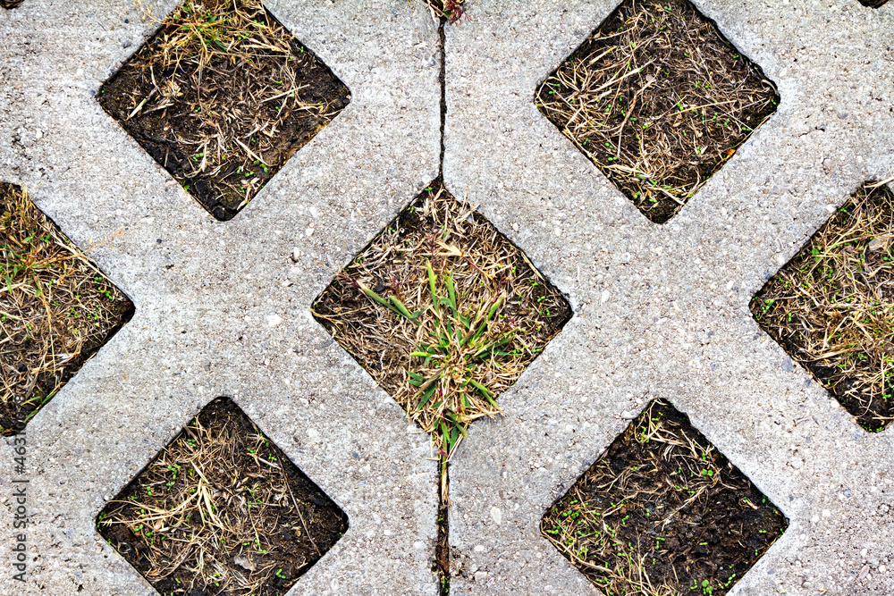 Fototapeta premium Close-up photo texture of concrete ornament road tile with grass and ground.