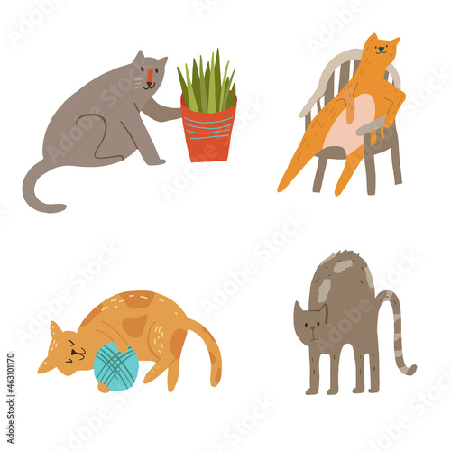 Set of cats knocking off plant, sitting, playing yarn ball, arhcing back.