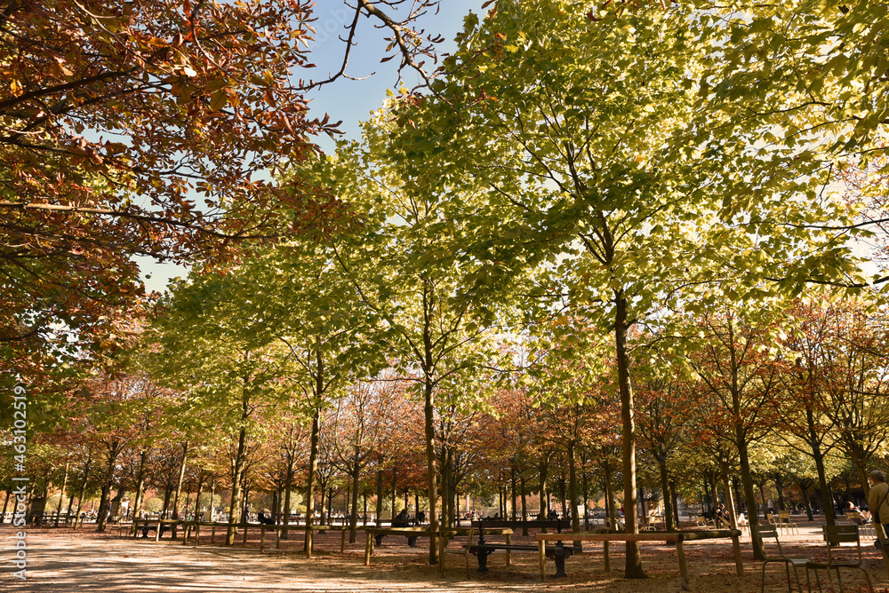 Jardin du Luxembourg à Paris en automne, France