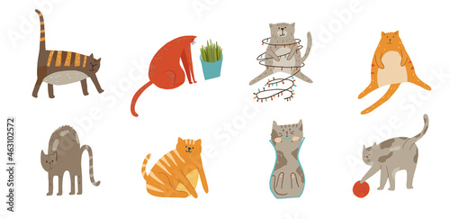 Set of cats walking playing with yarn ball, arching back, sitting, being liquid, illustraion cartoon flat style.
