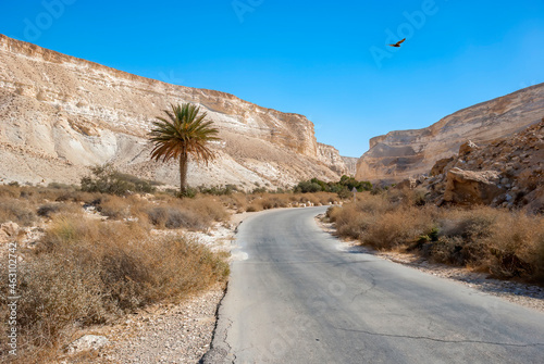 Countryside road in desert canyon