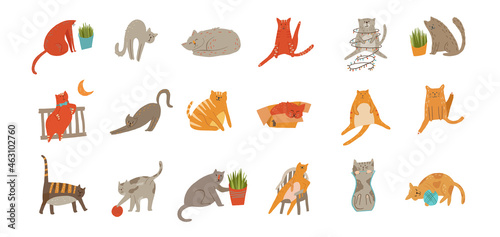 Funny cute cats set bundle illustration vector