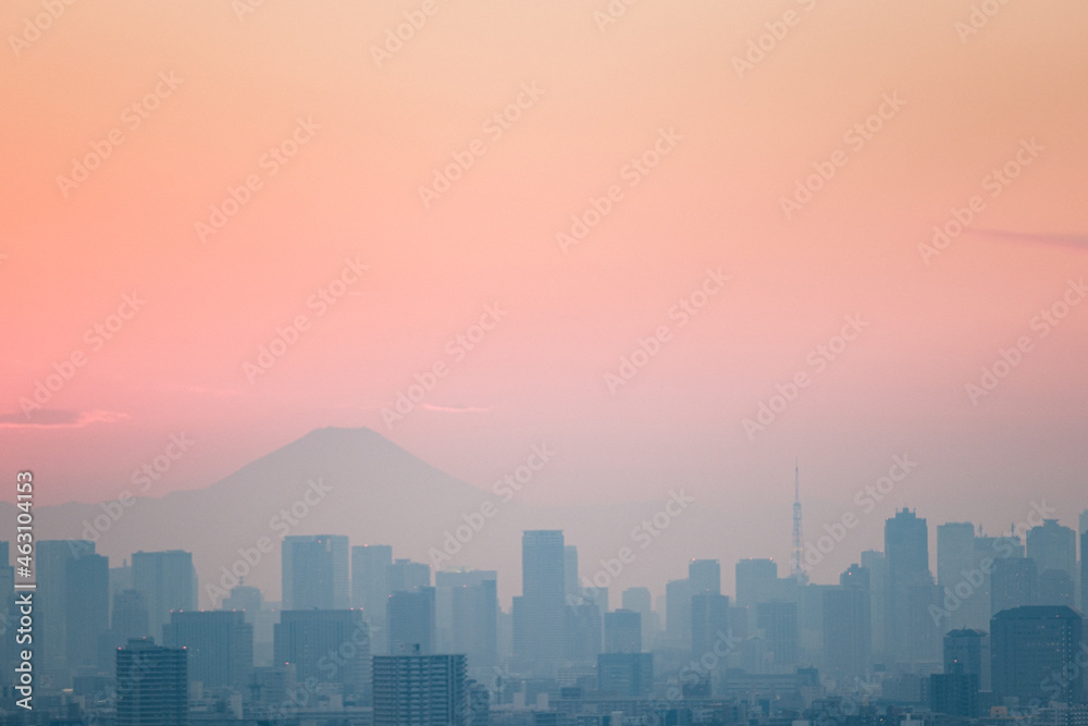 Fototapeta premium タワーホール船堀からの富士山