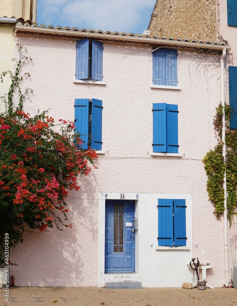 House front adorbed with red flowers in bloom and  featuring blue door and window shutters in Mediterranean seaside village of Leucate, southern France 
