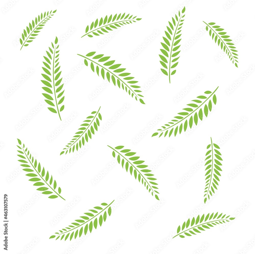 many identical green fern leaves
