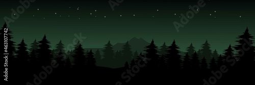 night at mountain forest with star in the sky vector illustration good for wallpaper, backdrop, background, tourism, banner, and design template